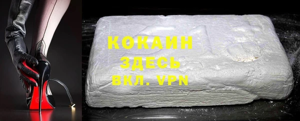 ECSTASY Алзамай