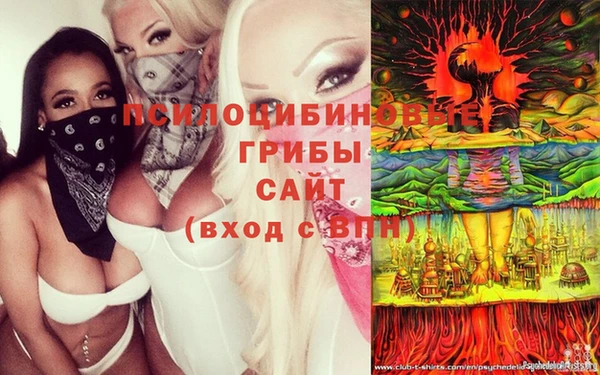 ECSTASY Алзамай
